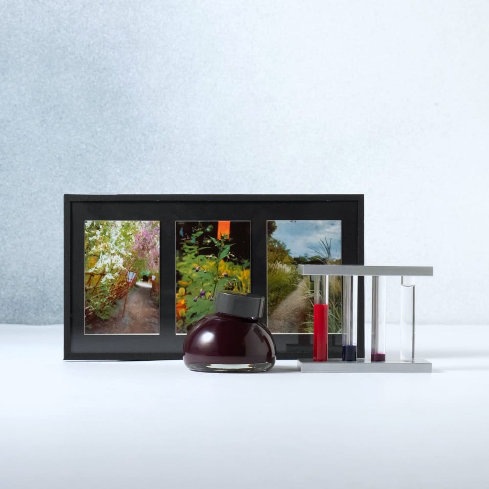 Encre - Colour specimen - Tunnel de trèfle japonais - ENCRES