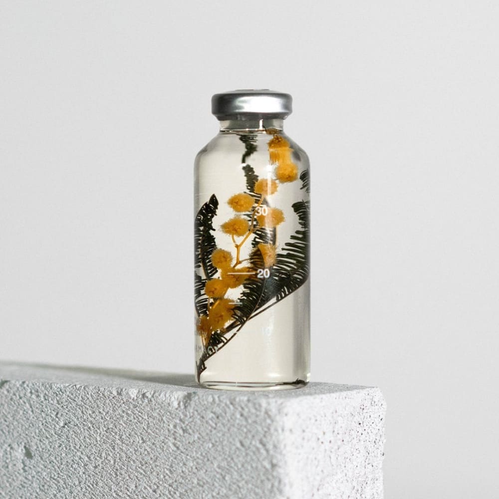 Plante immergée - Acacia dealbata - 30ml - FLEURS & PLANTES