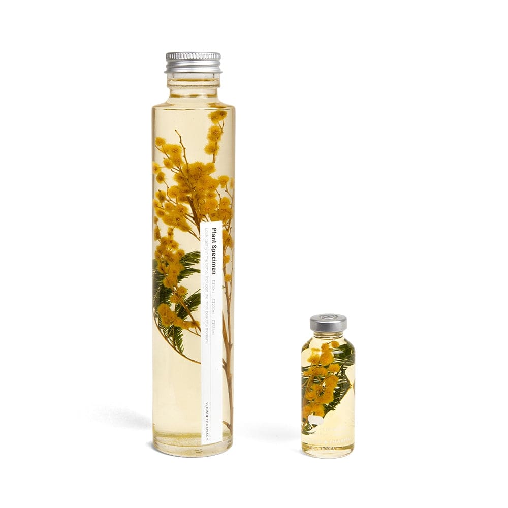 Plante immergée - Acacia dealbata - 30ml