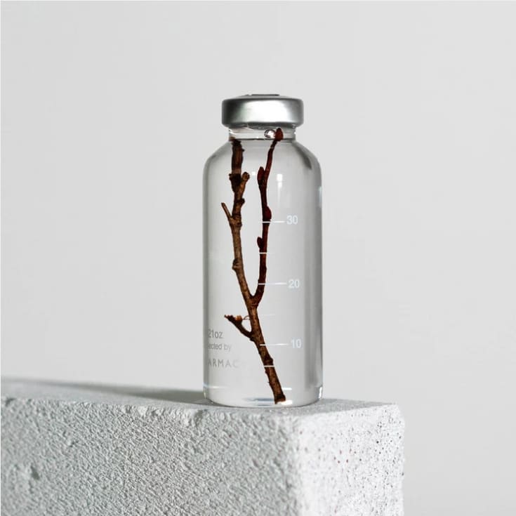Plante immergée - Zelkova Serrata - 30ml - FLEURS & PLANTES