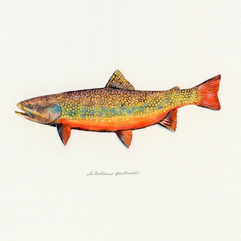 The flyfisher - Book