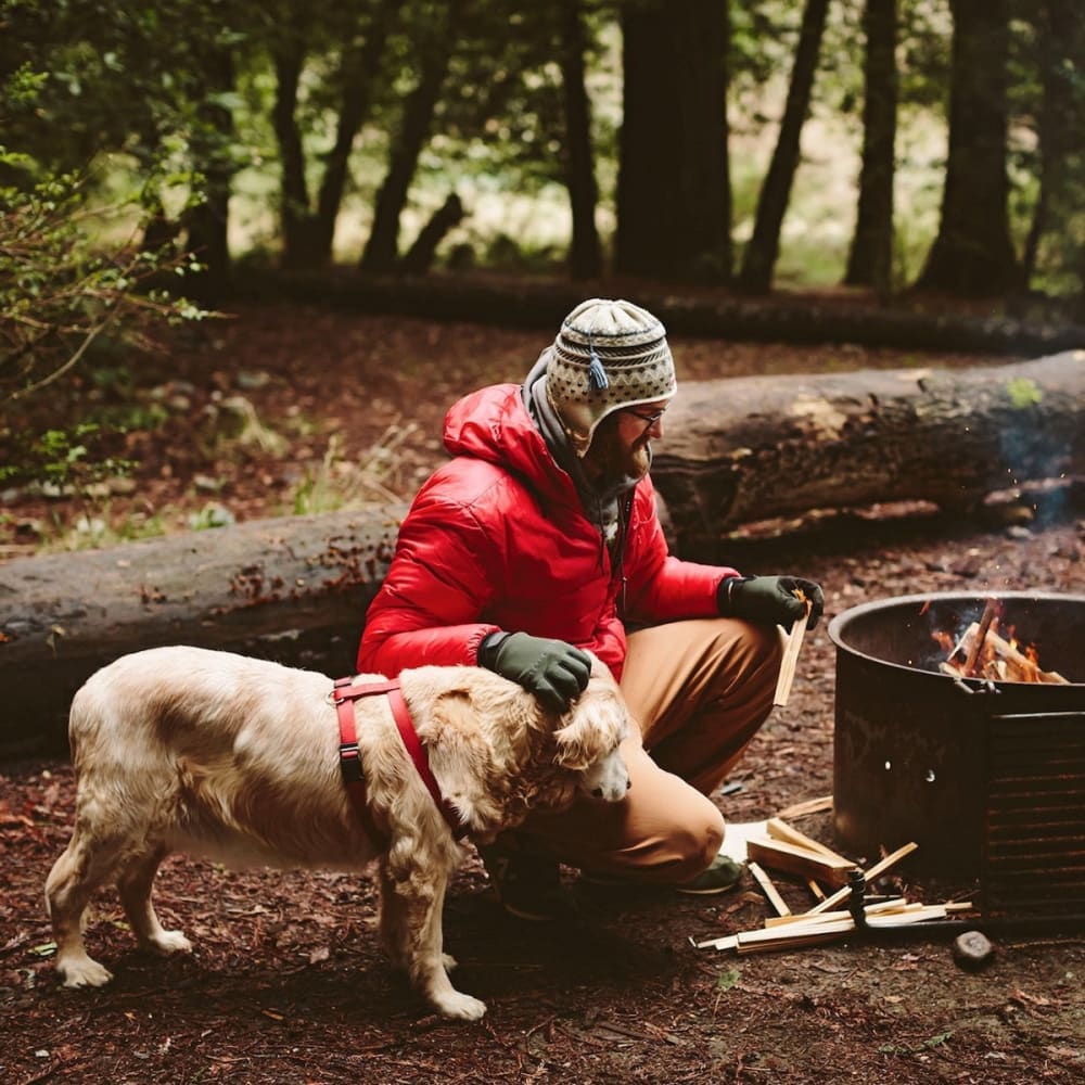 The hidden tracks - Book