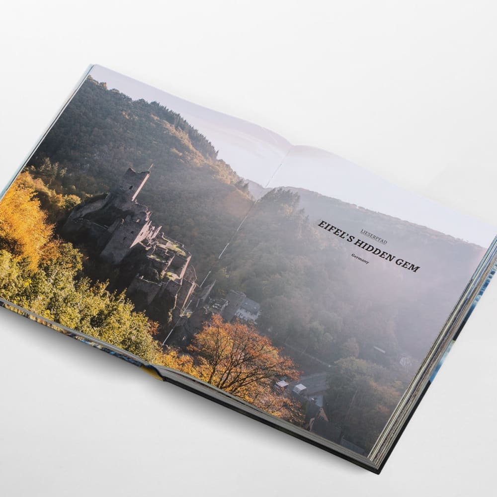 The hidden tracks - Book