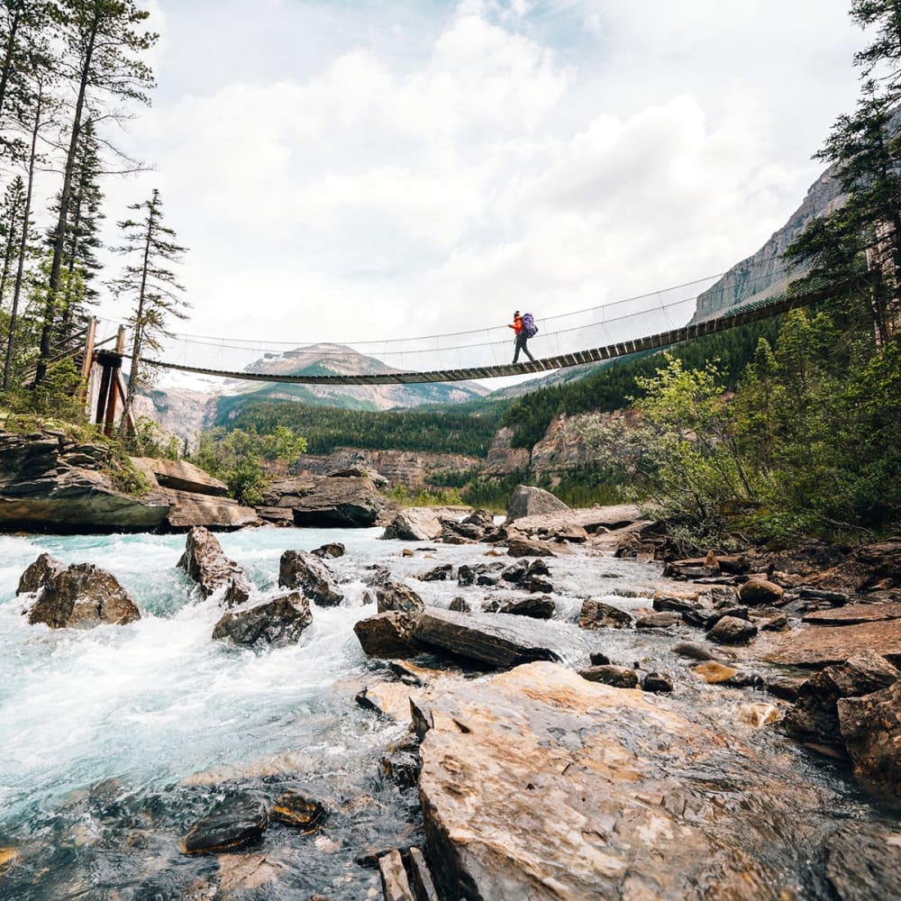 The hidden tracks - Book