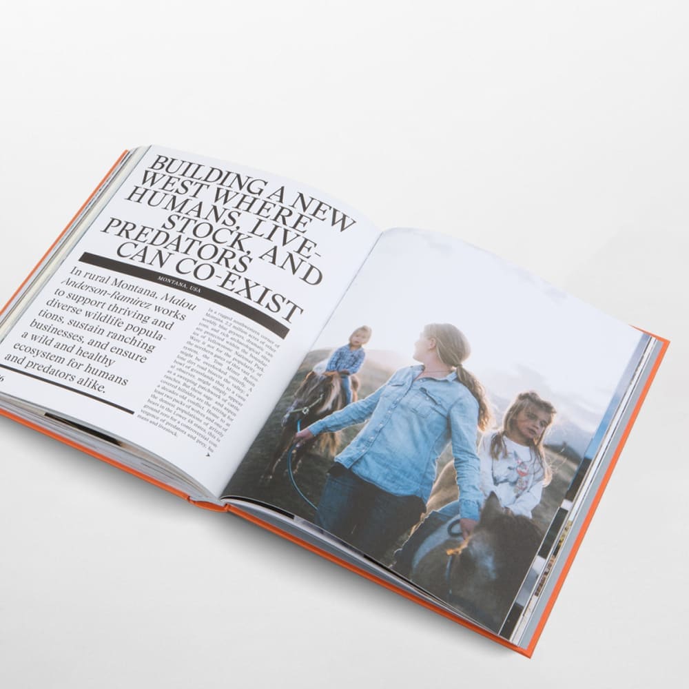 The new traditional - Book