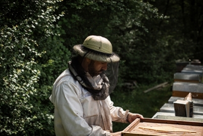 De La rosée : Découvrir la richesse des miels de terroir