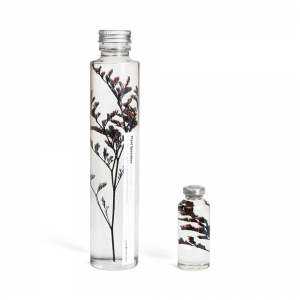Bottle plant - Limonium tetragonum