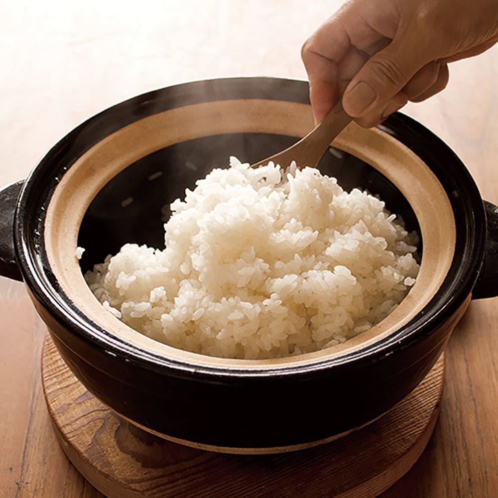 Cuiseur à riz 8/10 personnes